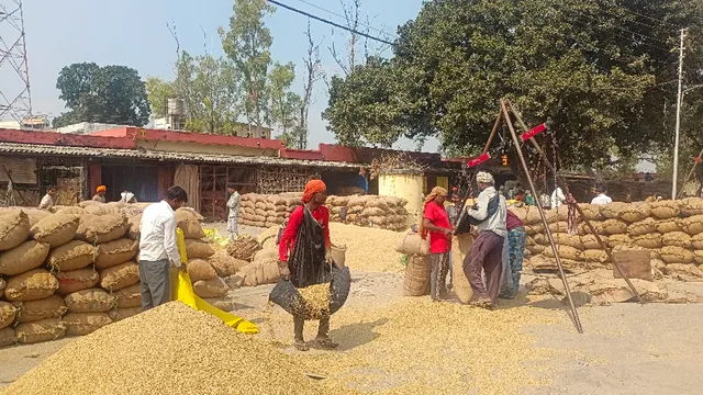 UP में मुफ्त राशन और सरकारी चावल की सप्लाई पर संकट! राइस मिलरों ने हड़ताल कर धान कुटाई से किया इनकार
